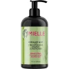 MIELLE rosemary hair conditioner 355ml